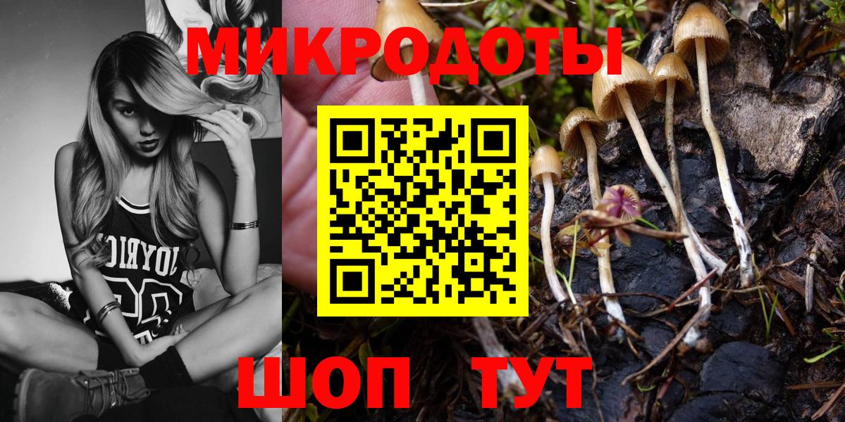 Галлюциногенные грибы Cubensis Ноябрьск