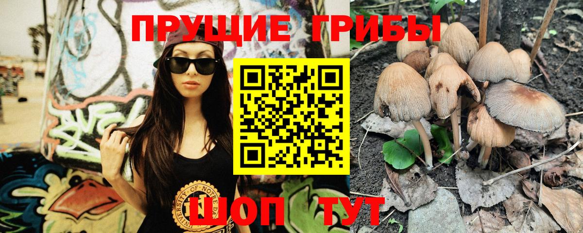 Галлюциногенные грибы MAGIC MUSHROOMS  Вход с VPN  Псилоцибиновые грибы прущие грибы  Ноябрьск 